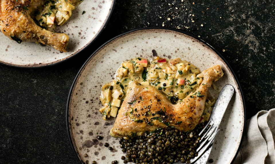 Kylling med sennepssauce