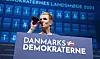 Danmarksdemokraternes landsmøde begyndte med strip og sluttede med boogie-woogie