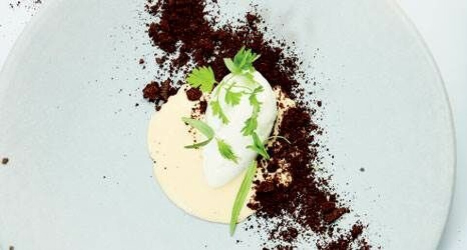 Fennikeliscreme med hirsegrød deluxe, knuste oreos og estragonessens