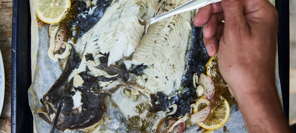 Opskrift: Sådan tilbereder du din (hjemmefangede) pighvar