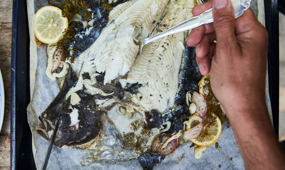 Opskrift: Sådan tilbereder du din (hjemmefangede) pighvar