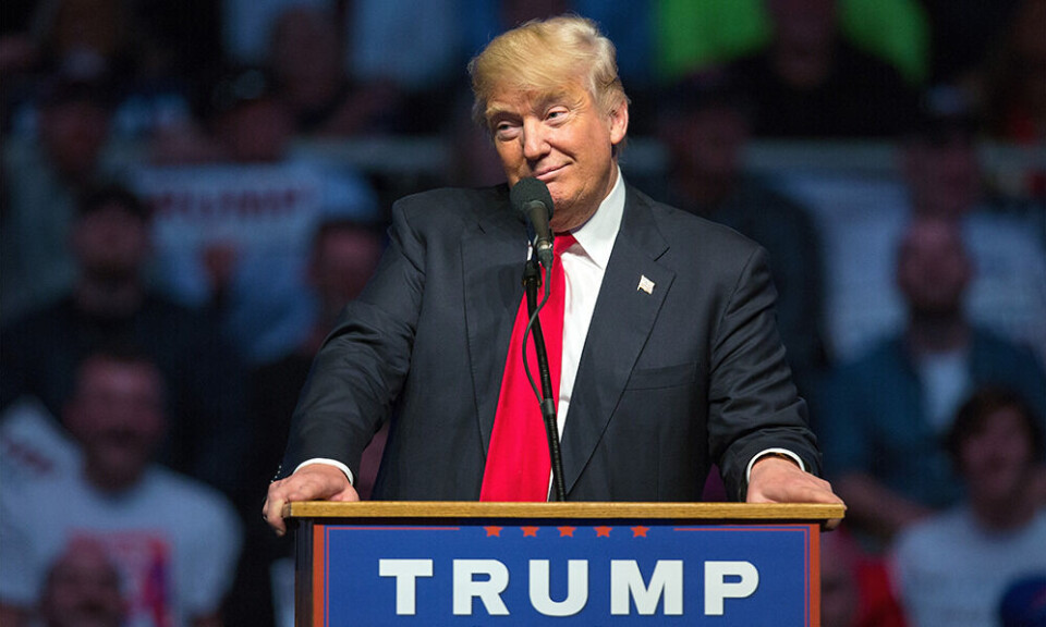 Præsident Donald Trump hår Dr. Bornstein