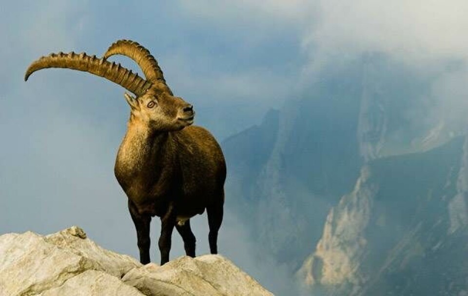 Velkommen til bloggen: Afgang mod Kina