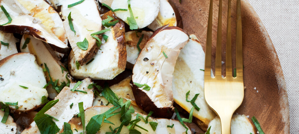 Glem svampetoast: Sådan skal du bruge dine hjemmeplukkede svampe