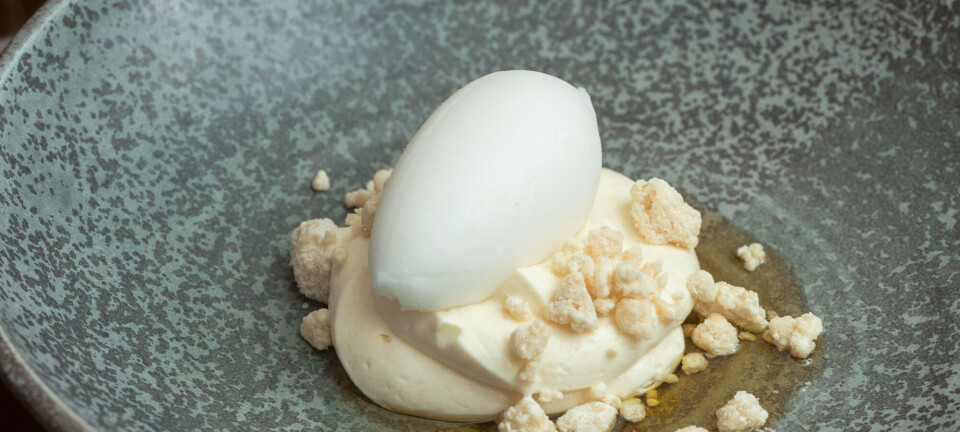 Lad nytårsdesserten være sur: Sådan laver du citrussorbeten fra Admiralgade 26