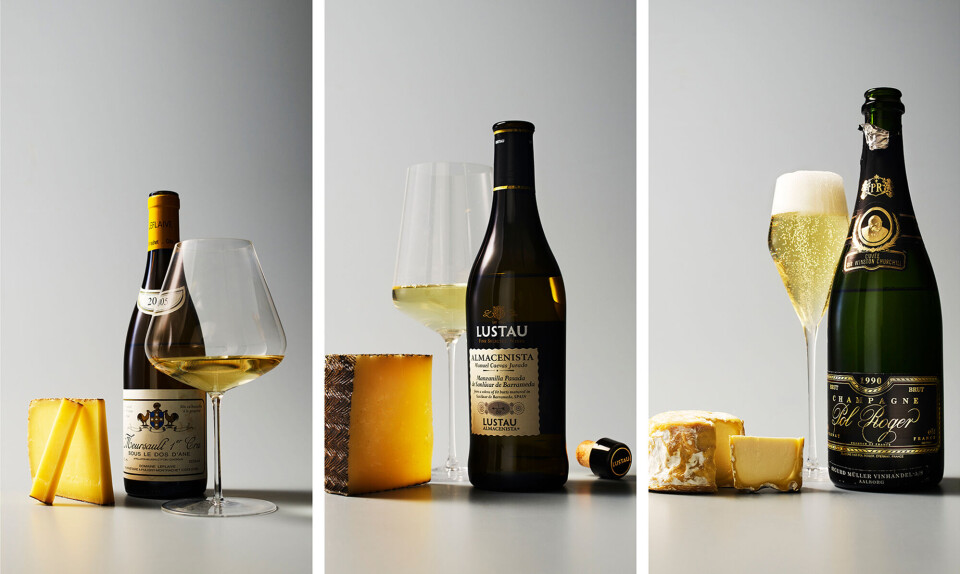 Sådan sammensætter du ost med vin