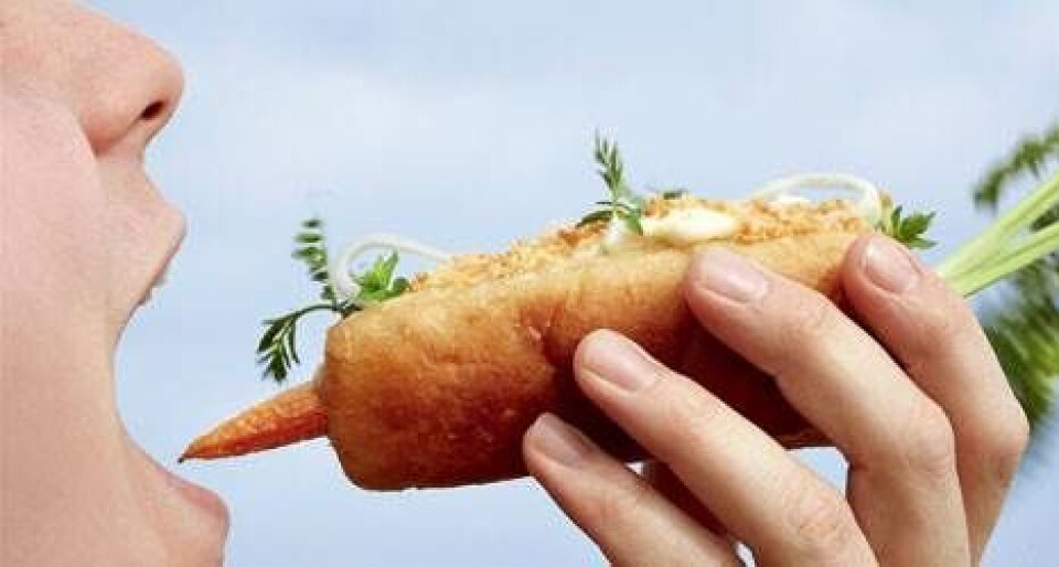 6 opskrifter på fastfood fra Lammefjorden