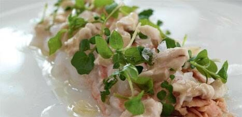 Rå foie gras og Jomfruhummer