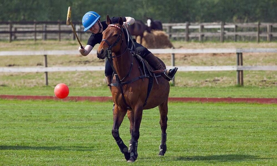 Jeg spillede polo på hesteryg, men det får du nok aldrig råd til