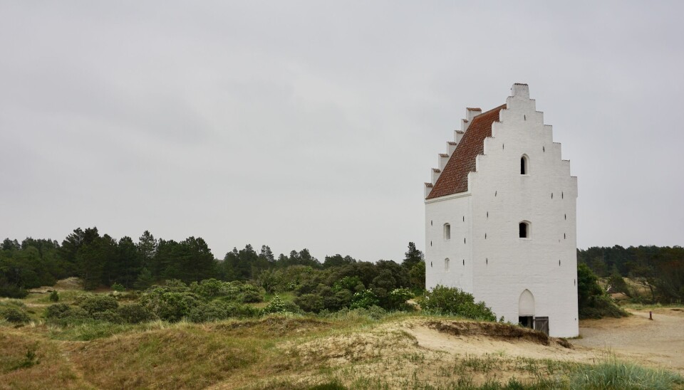 Pivfrisk fisk, vild natur og smuk kunst: Her er Nordjyllands bedste restauranter, oplevelser og hoteller