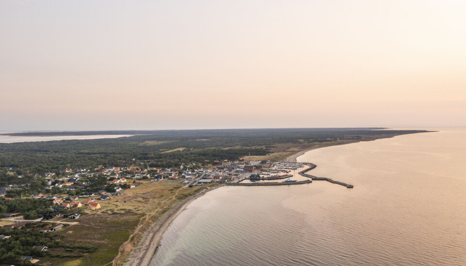 Pivfrisk fisk, vild natur og smuk kunst: Her er Nordjyllands bedste restauranter, oplevelser og hoteller