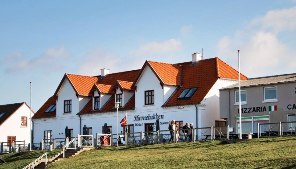 Pivfrisk fisk, vild natur og smuk kunst: Her er Nordjyllands bedste restauranter, oplevelser og hoteller