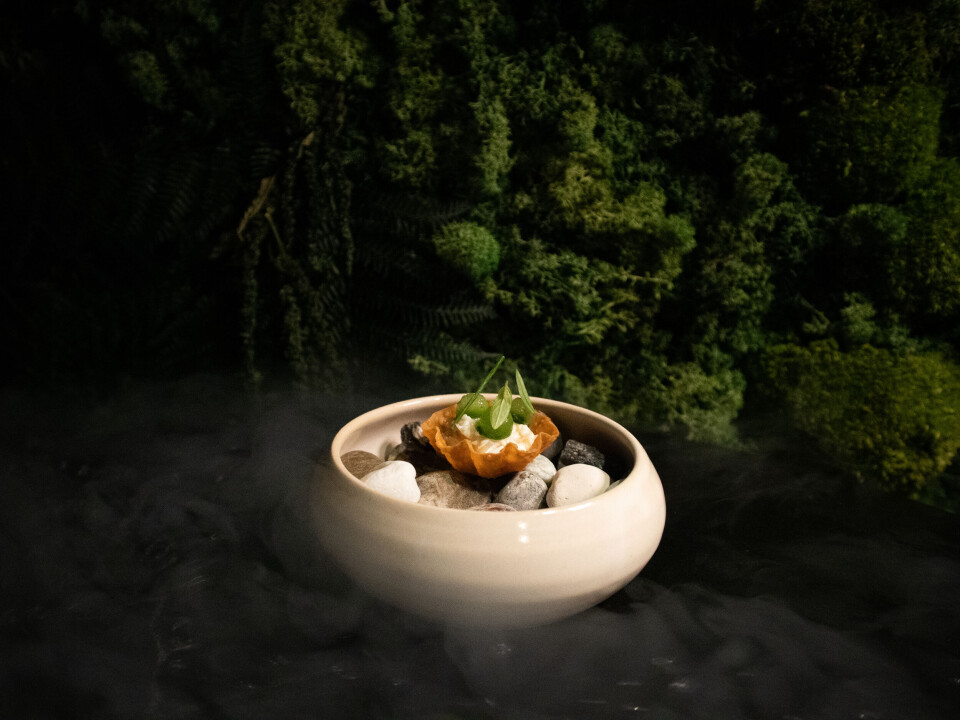 Pivfrisk fisk, vild natur og smuk kunst: Her er Nordjyllands bedste restauranter, oplevelser og hoteller