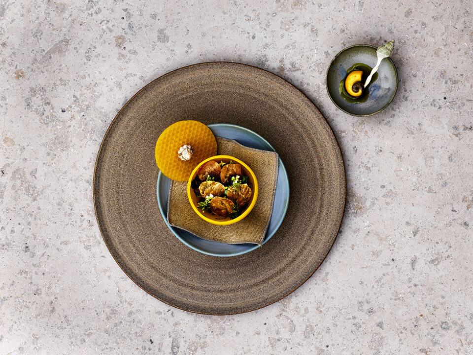 Restaurantanmeldelse: Noma 2.0 er verdensklasse