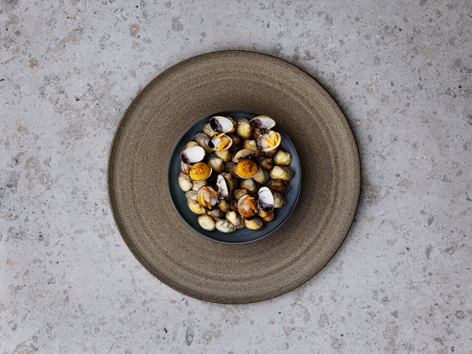 Restaurantanmeldelse: Noma 2.0 er verdensklasse