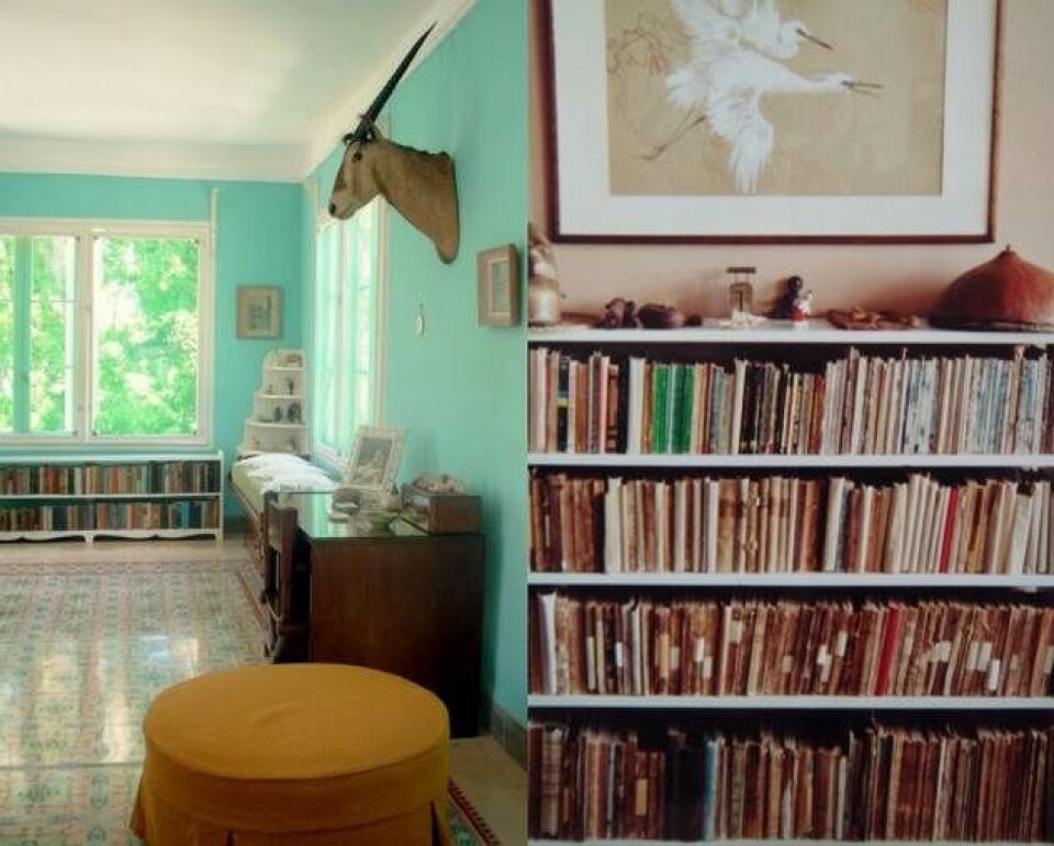 Billede 3 - Hjemme hos Hemingway