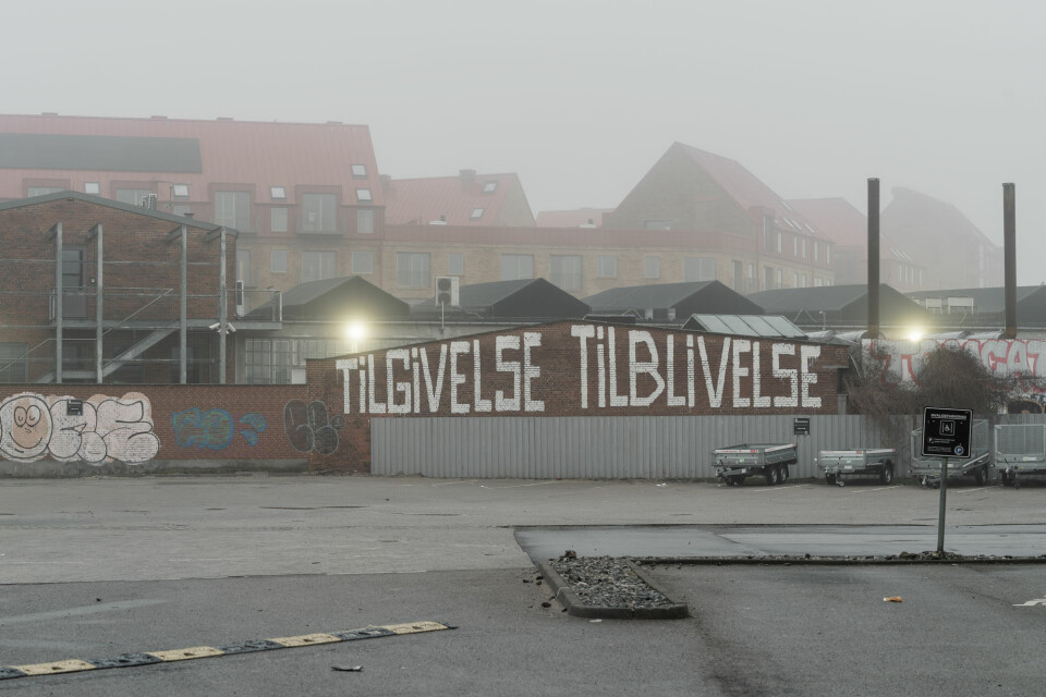 Dine penge mig i røven: Hvem er københavnerkunstneren bag byens mest berømte gavlmalerier?