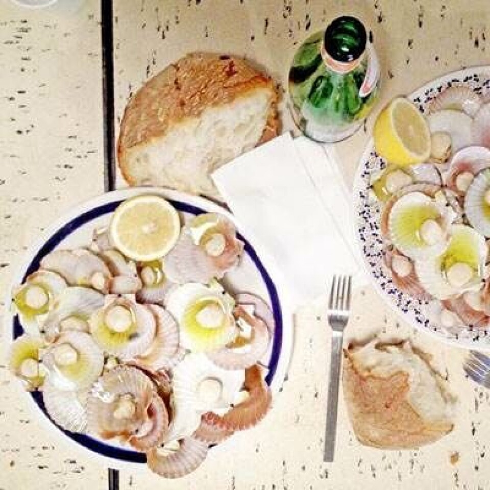 7 billige restauranter i København