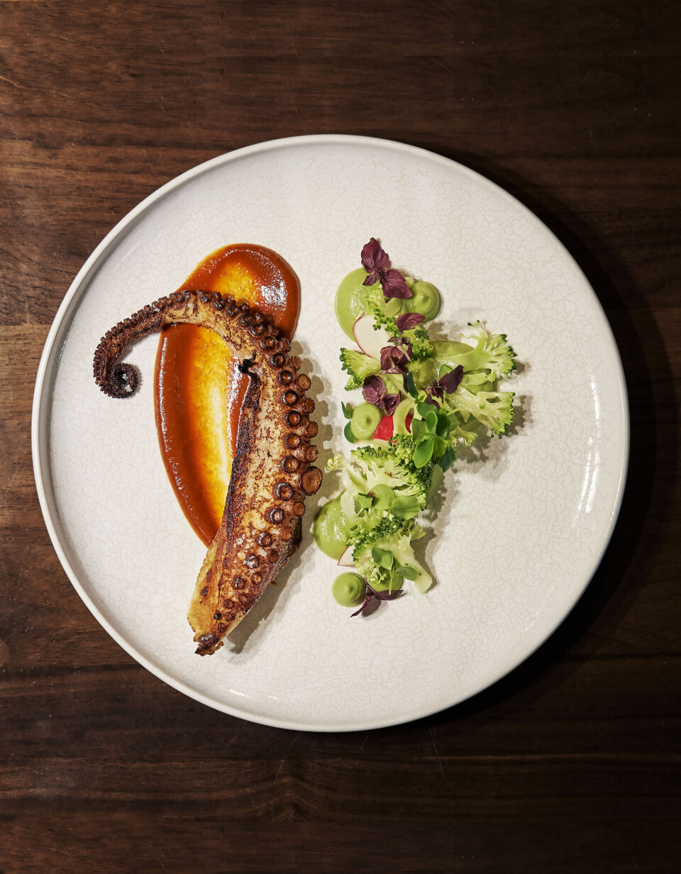 10 restauranter, du skal besøge i Hamborg