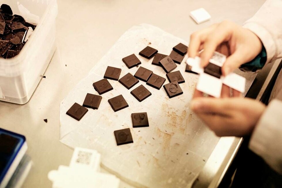 Mikkel laver verdens bedste chokolade: ”Vores råvarer er en Ferrari sammenlignet med den billigste Skoda.”