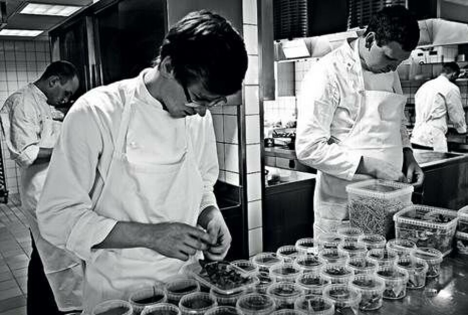 Restaurant-anmeldelse: Nimb Louise