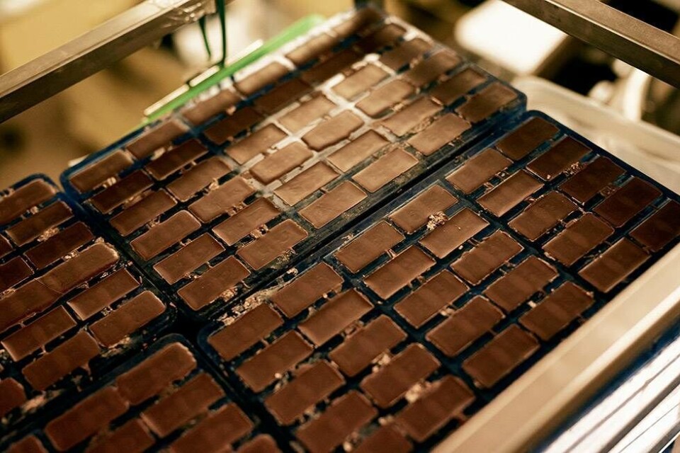 Mikkel laver verdens bedste chokolade: ”Vores råvarer er en Ferrari sammenlignet med den billigste Skoda.”