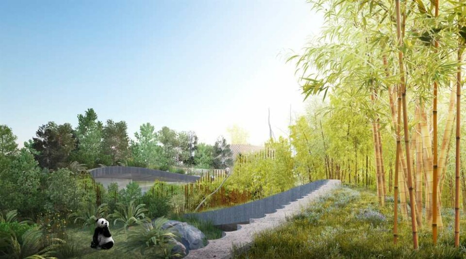 10 danske byggeprojekter, vi glæder os til at se i 2019