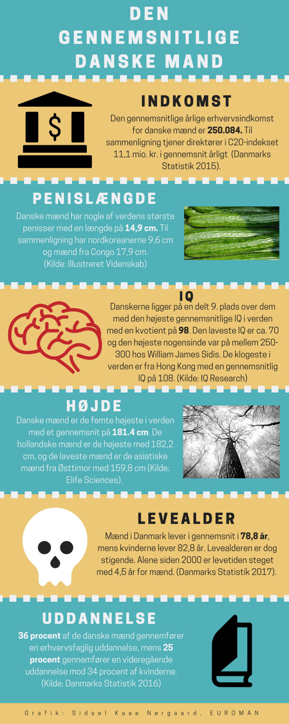 Indkomst, penislængde og IQ: Hvordan klarer du dig i forhold til den gennemsnitlige danske mand?