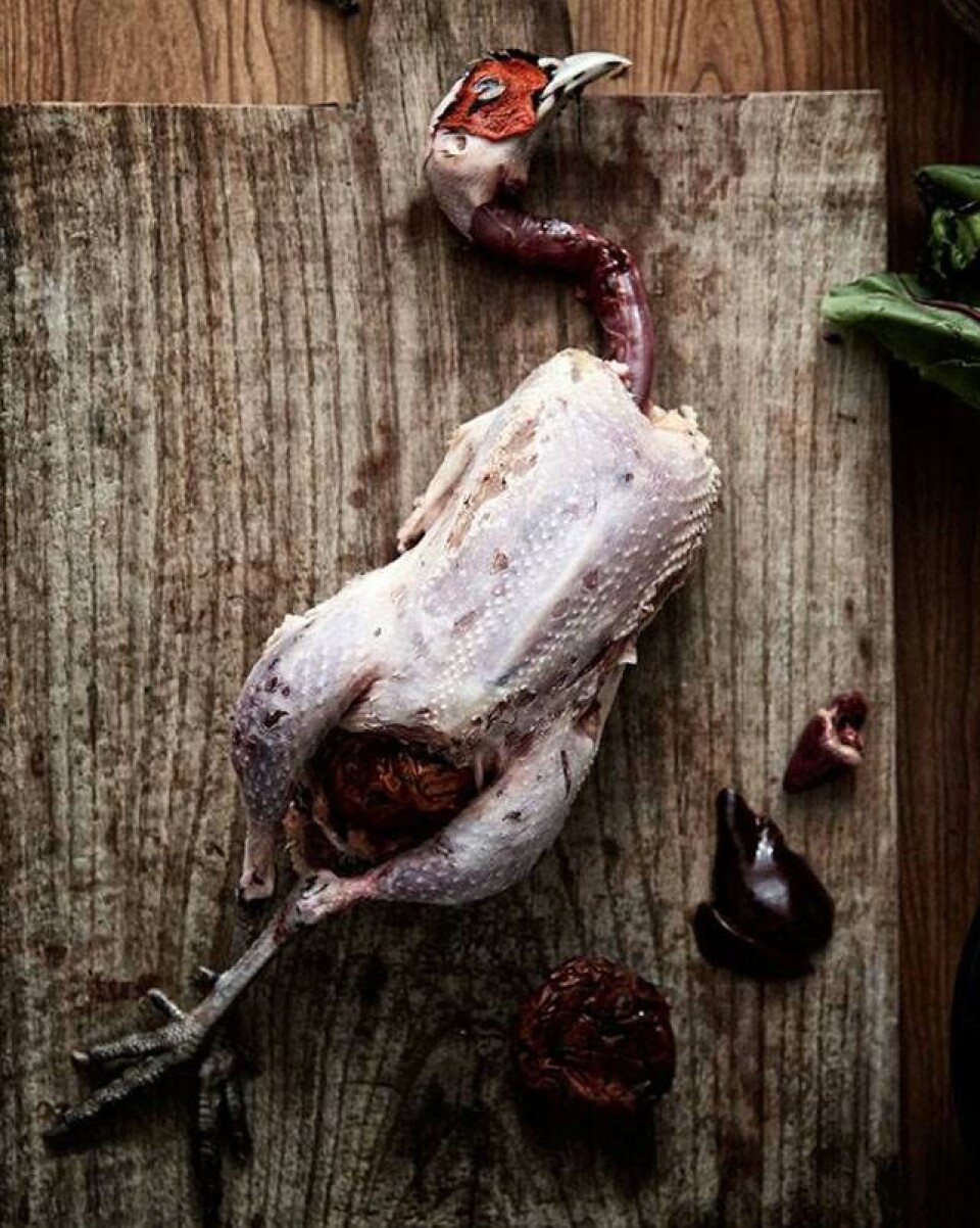 Bag optagelserne på 'The Urban Huntsman'