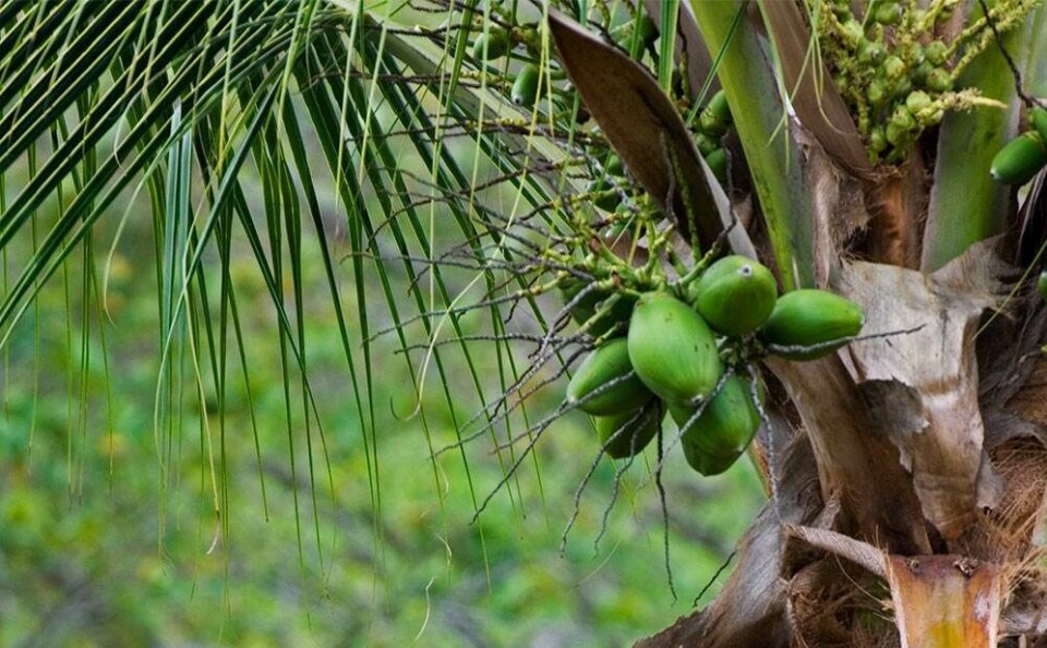 Overvældende og underholdende: 7 ting du skal lave i Mumbai