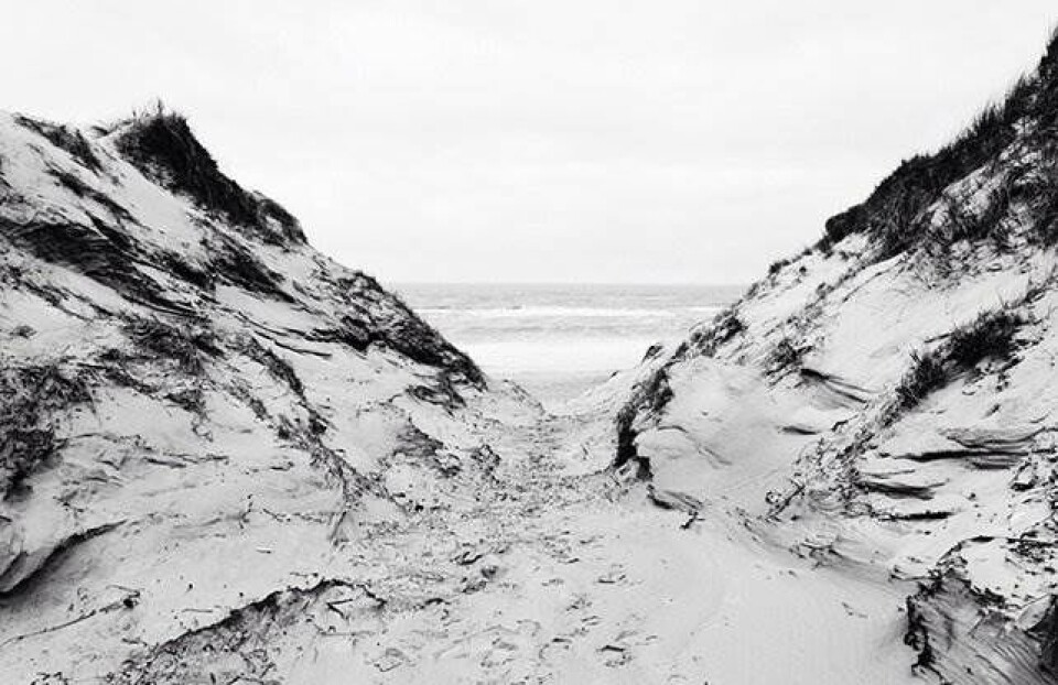 Vesterhavet uden mennesker