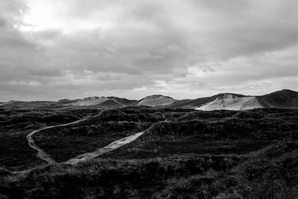 Vesterhavet uden mennesker
