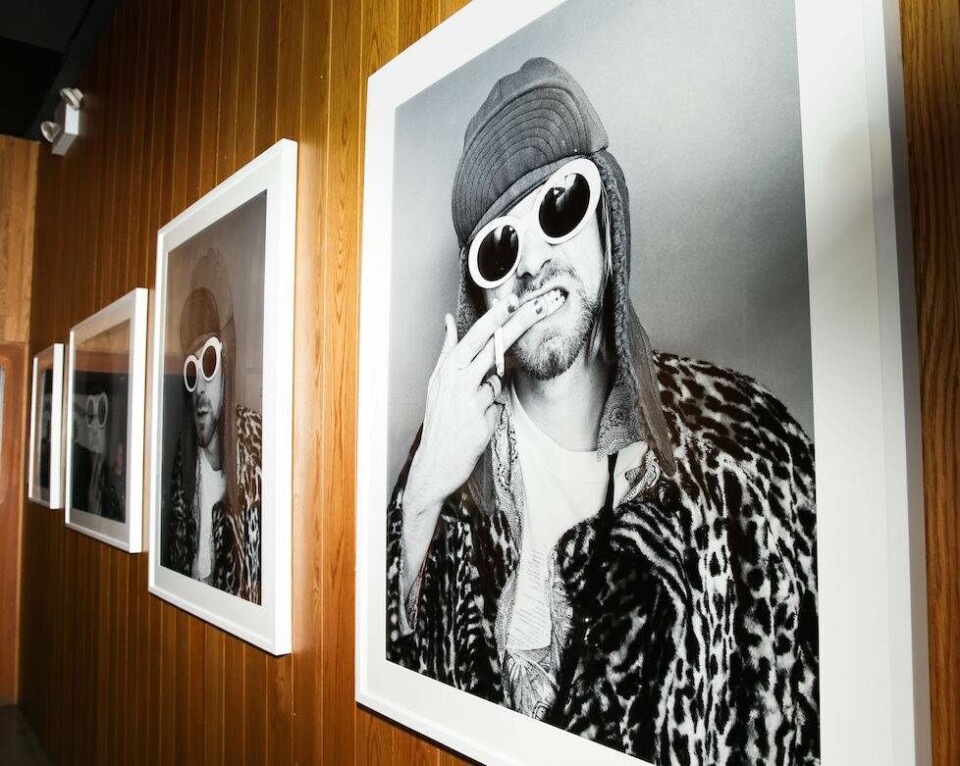 16 af sommerens bedste solbriller