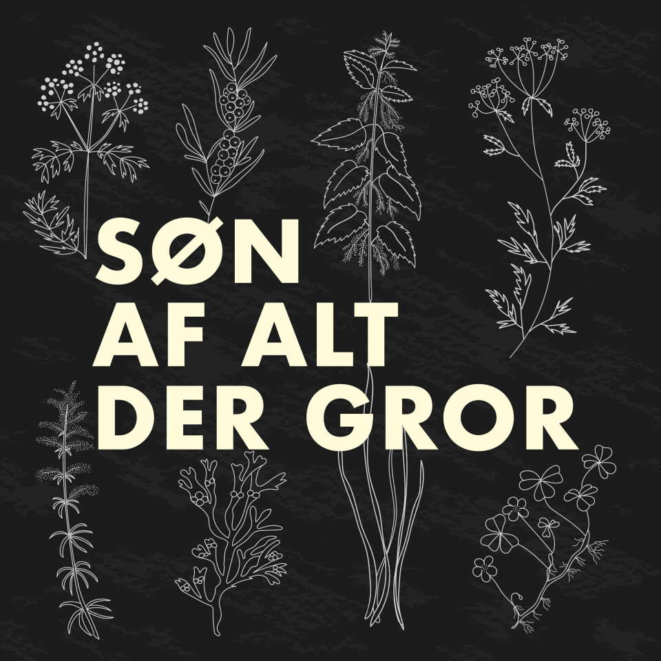 ’Søn af alt der gror’: Kronjysk krebsejagt i kærtidslens skygge