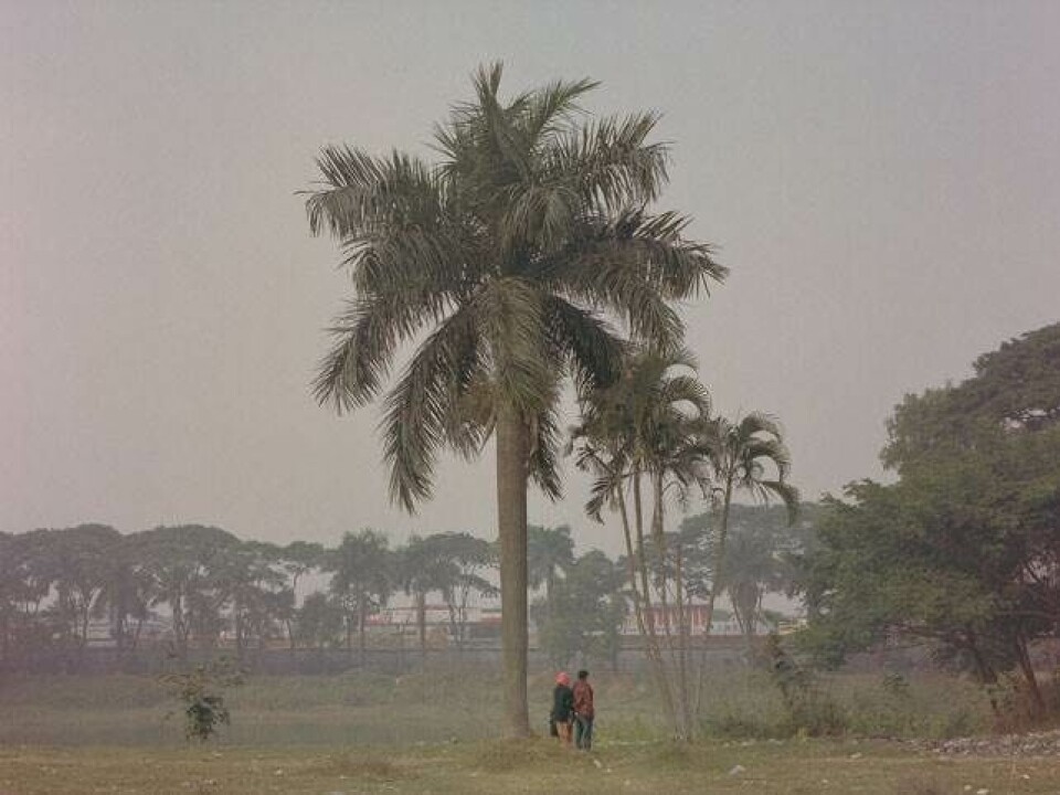 Den umulige kærlighed i Bangladesh