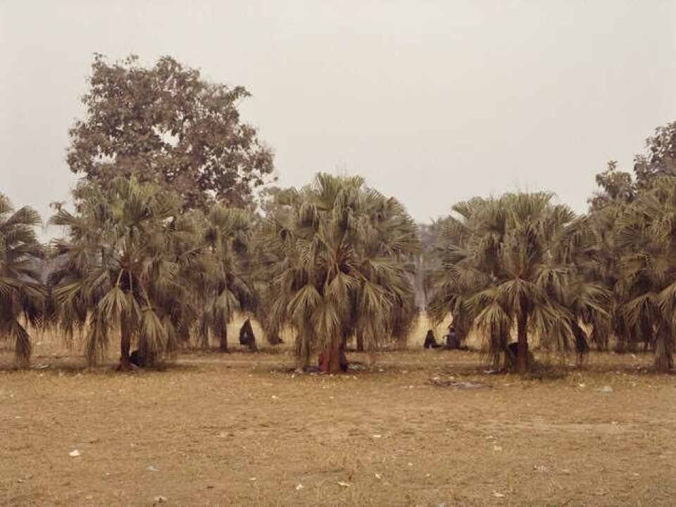 Den umulige kærlighed i Bangladesh