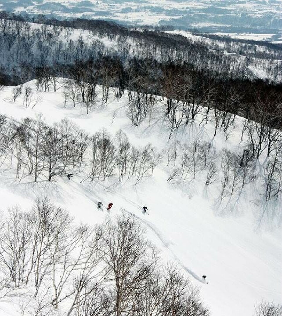 7 eksperters forslag til de fedeste ski-ferier