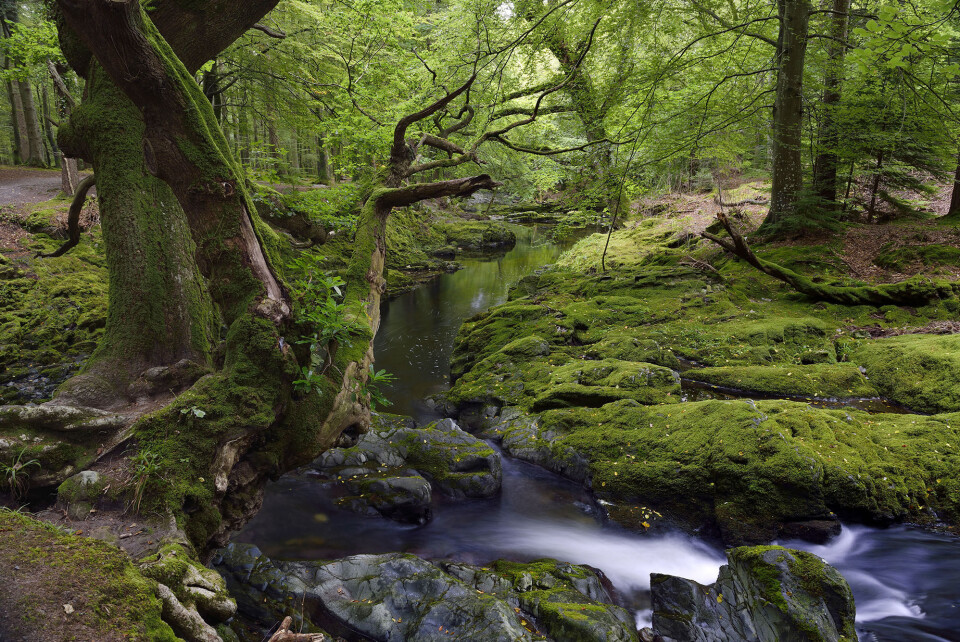 Her kan du opleve virkelighedens 'Game of Thrones'-locations