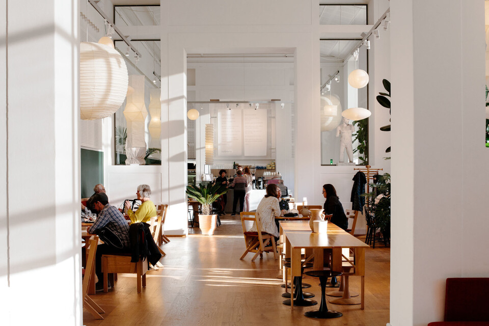 Cafeguide: De fem bedste museumscafeer og -restauranter i København