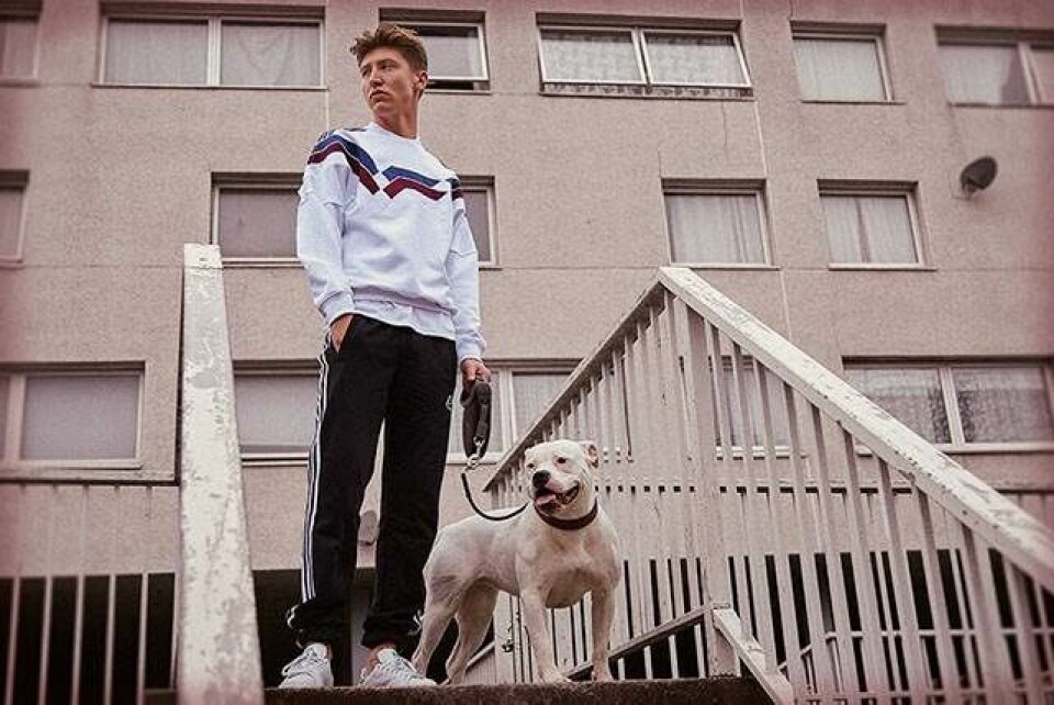 Adidas og Palace Skateboards viser hypet samarbejde frem