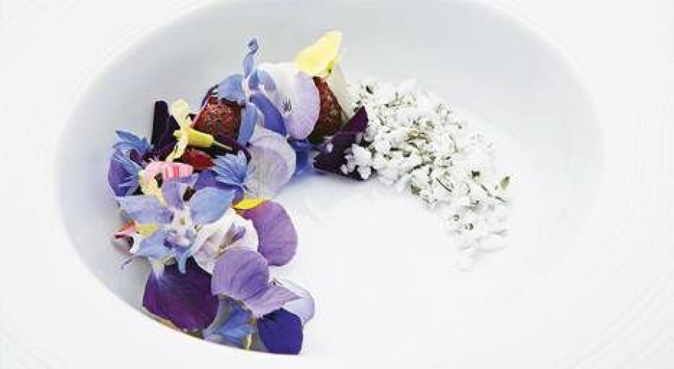 Anmeldelse: Geranium