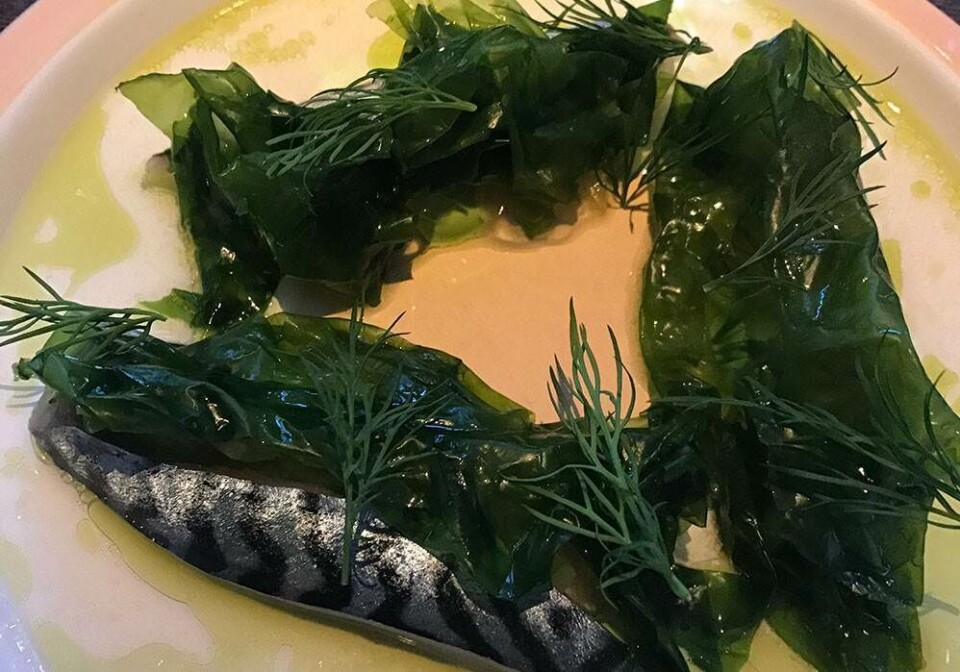 Anmeldelse: Musling serverer fisk og fest til absolut overkommelige priser