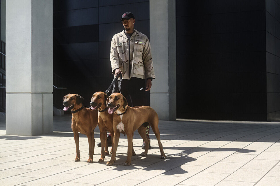 Fodboldspilleren Jerome Boateng og tysk kultmagasin laver designsamarbejde