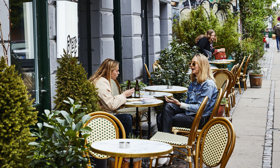 Københavns 11 bedste vinbarer