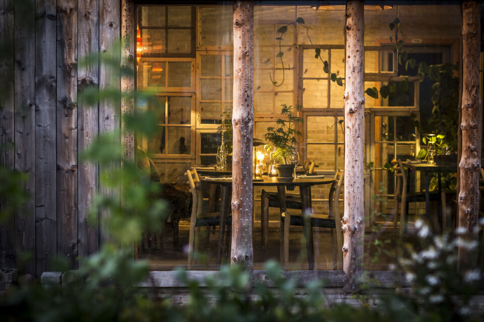 Restaurantanmeldelse: Moment er momentvis genial