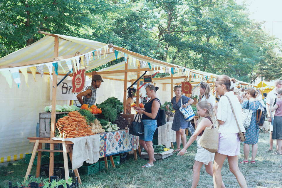Supermarkedet er ikke den eneste indkøbsmulighed i storbyen. Markeder med lokale råvarer popper op flere steder i København