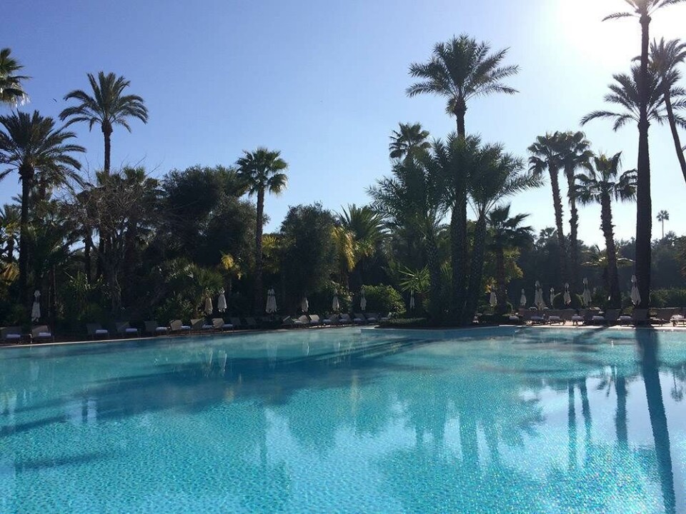 9 ting du skal opleve i Marrakesh