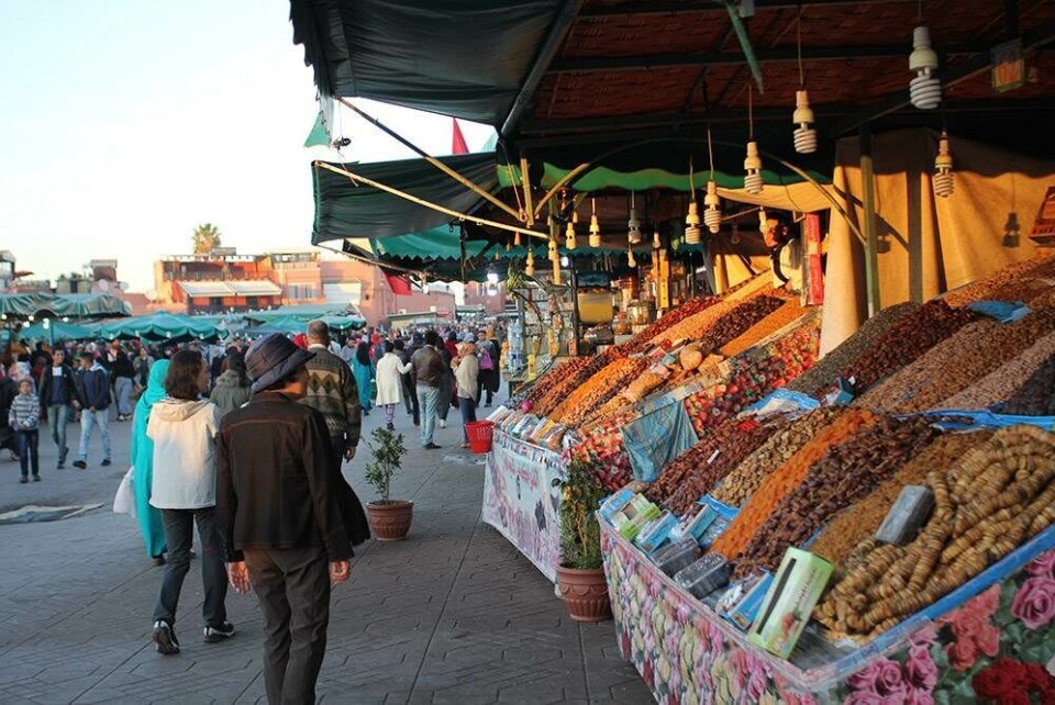 9 ting du skal opleve i Marrakesh
