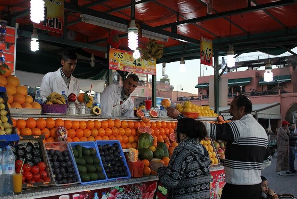 9 ting du skal opleve i Marrakesh