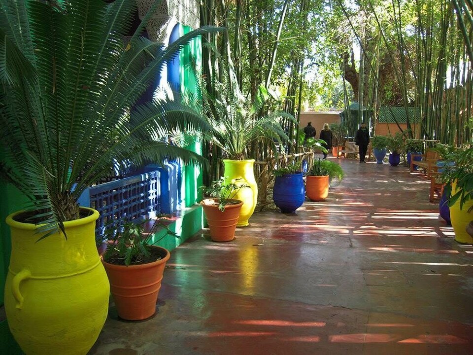 9 ting du skal opleve i Marrakesh